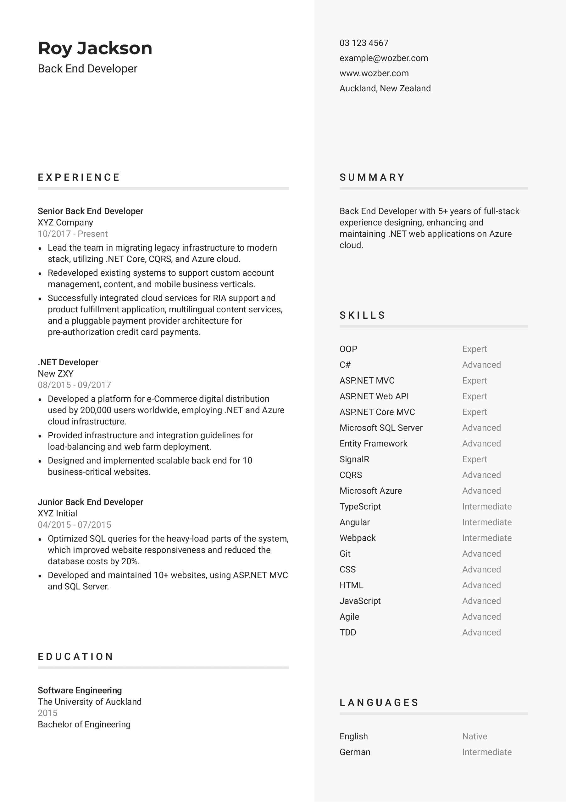 data-scientist-cv-example