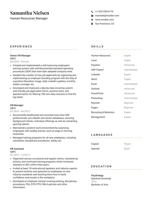 Modern CV Examples | Wozber