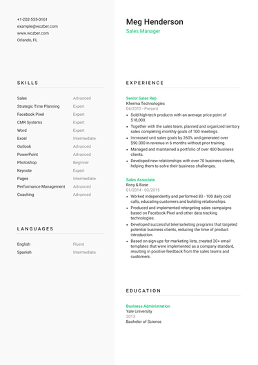 Modern CV Examples | Wozber